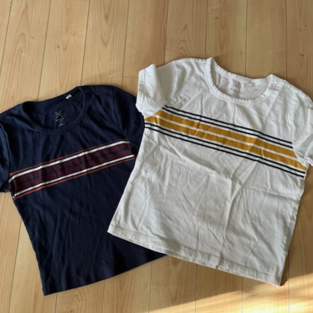 Basics Crop Top Short Sleeve shirts